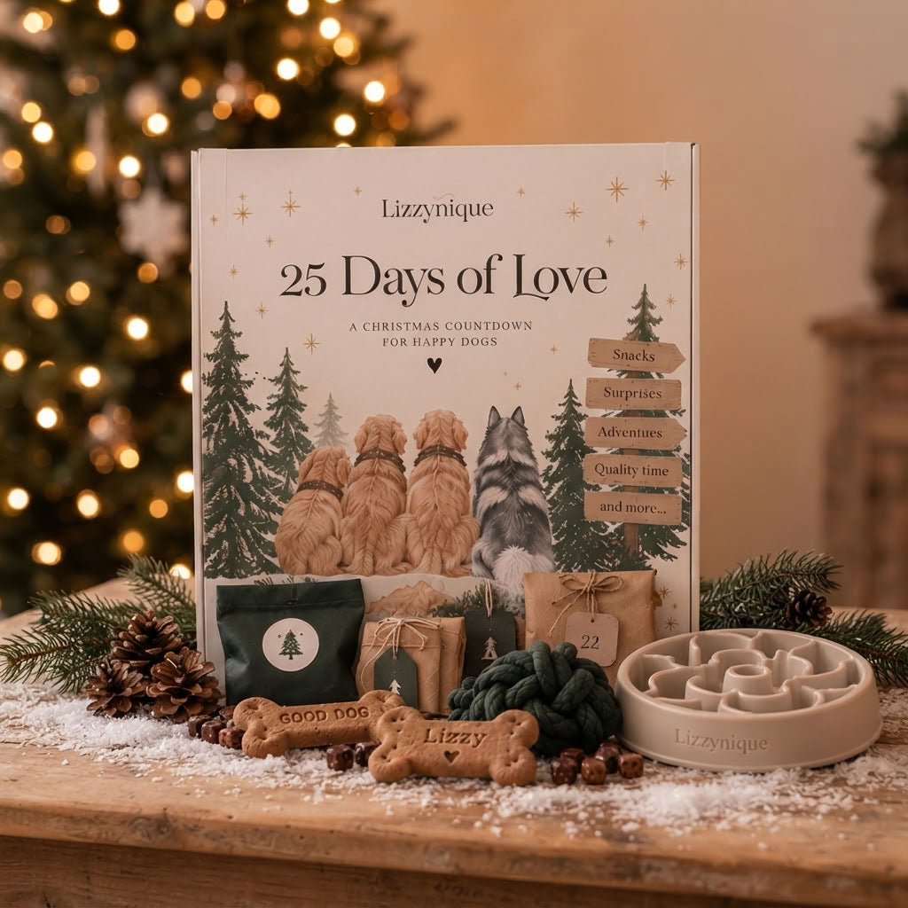 Adventsbox 🎄