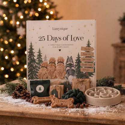 Adventsbox 🎄