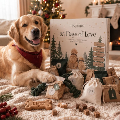 Adventsbox 🎄