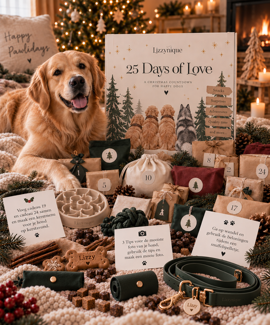 Adventsbox 🎄