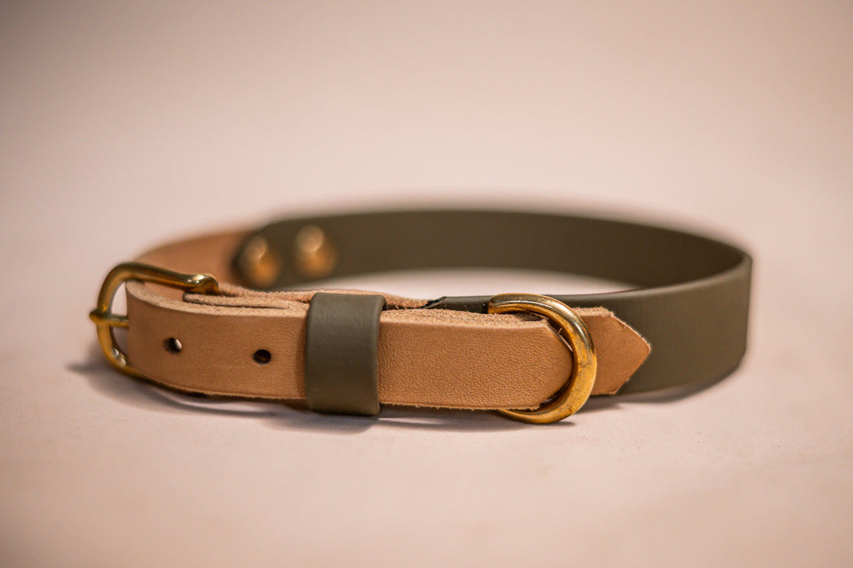 Halsband Biothane & vetleder - Olive