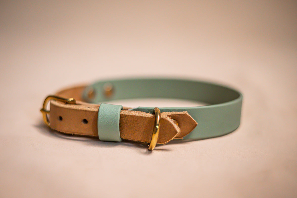 Halsband Biothane & vetleder - Sage