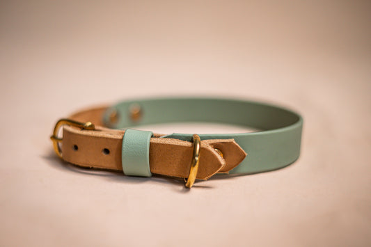 Halsband Biothane & vetleder - Sage