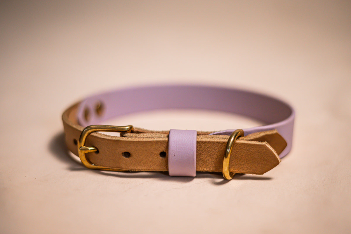 Halsband Biothane & vetleder - Lila