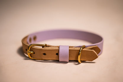 Halsband Biothane & vetleder - Lila