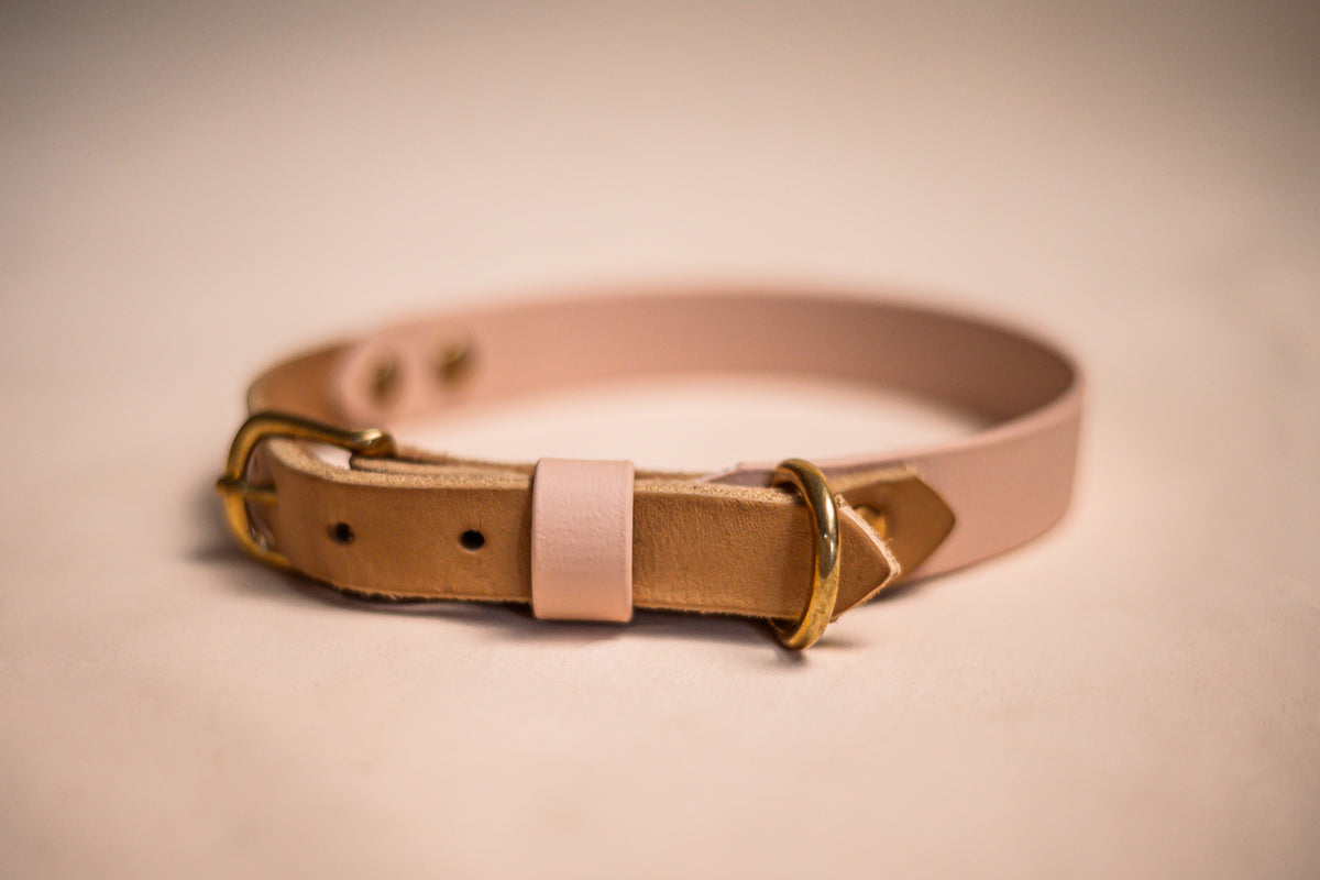 Halsband Biothane & vetleder - Tan