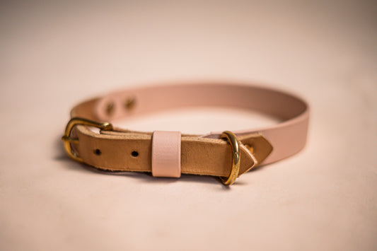 Halsband Biothane & vetleder - Tan