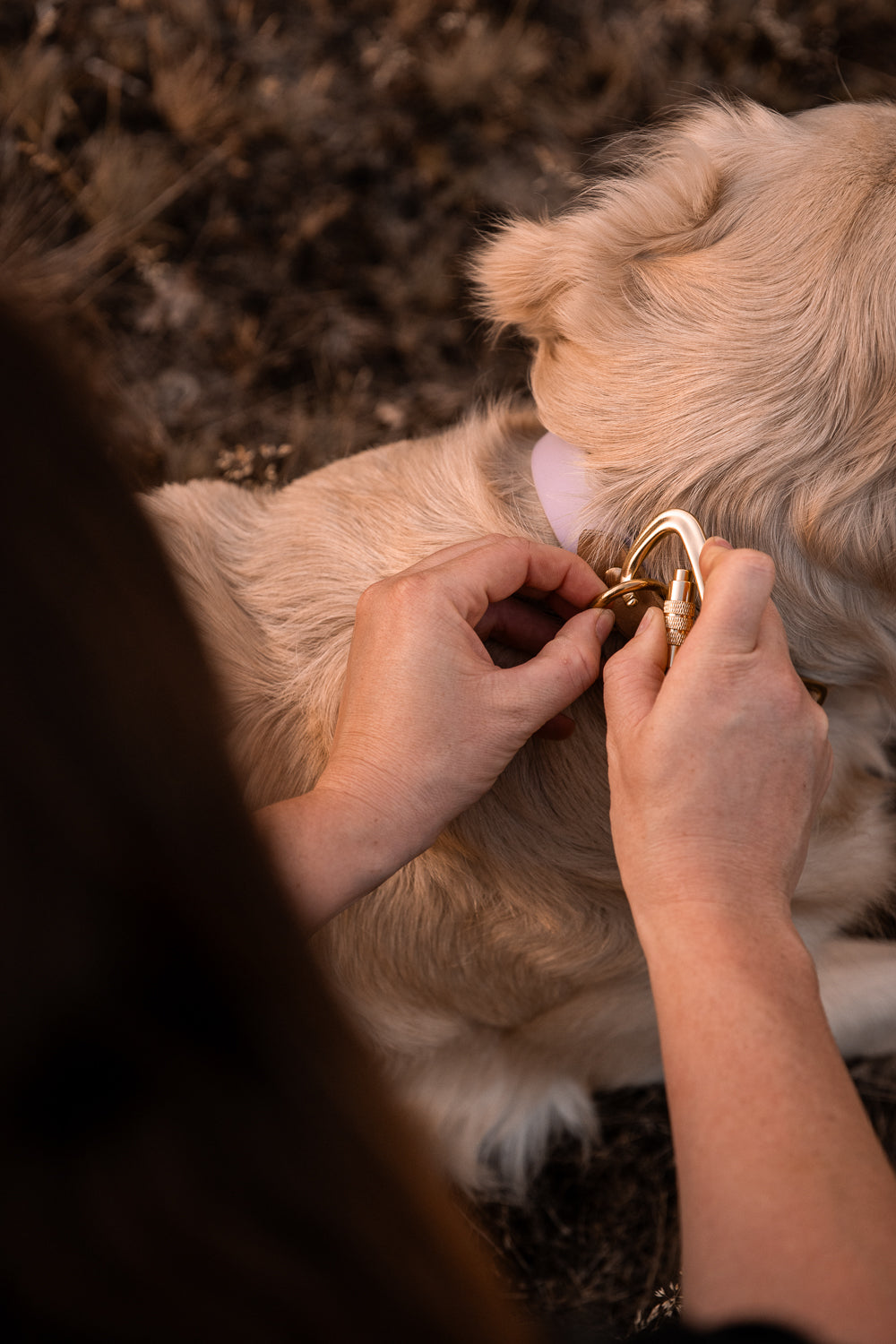 The Lizz Leash — Golden Tan