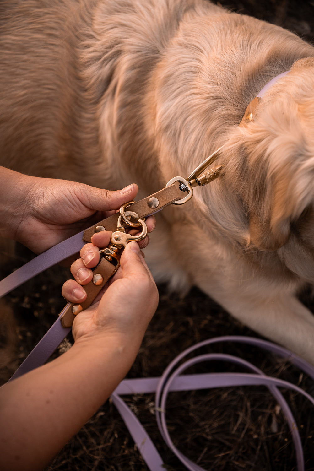 The Lizz Handsfree Leash