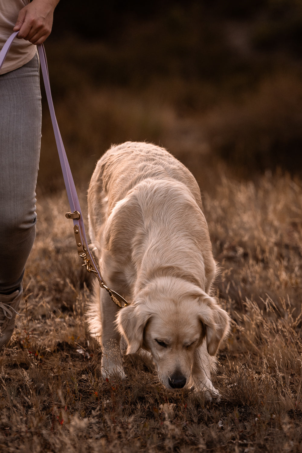 The Lizz Handsfree Leash
