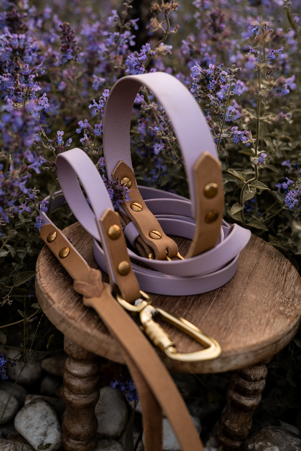 The Lizz Handsfree Leash
