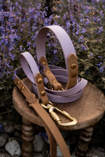 The Lizz Handsfree Leash
