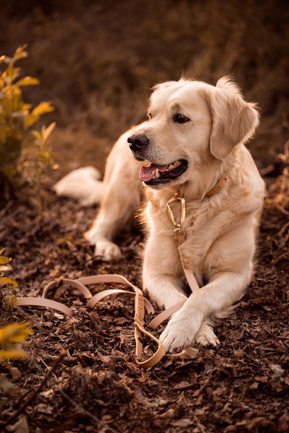 The Lizz Leash — Golden Tan