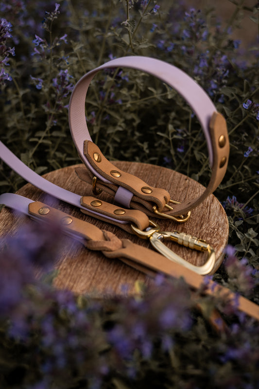 The Lizz Collar - Lilac Bloom