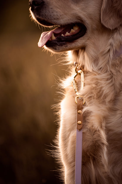 The Lizz Leash — Lilac Bloom