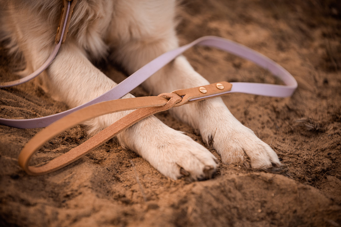 The Lizz Leash — Lilac Bloom