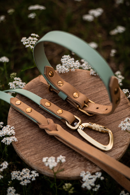 The Lizz Collar - Sage Green