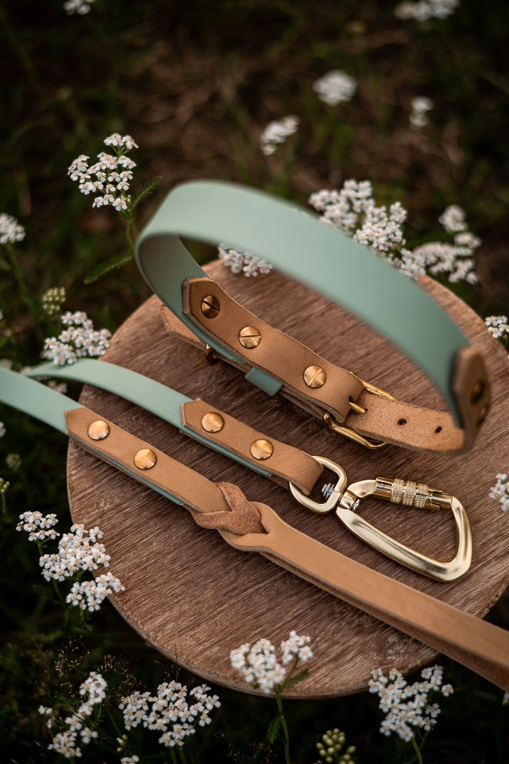 The Lizz Handsfree Leash