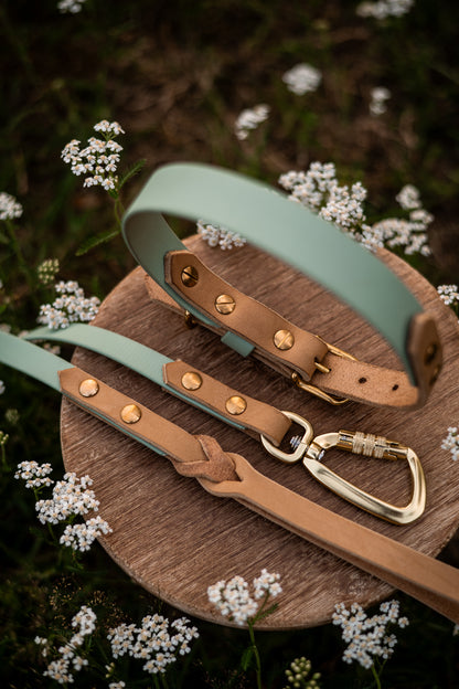 The Lizz Handsfree Leash