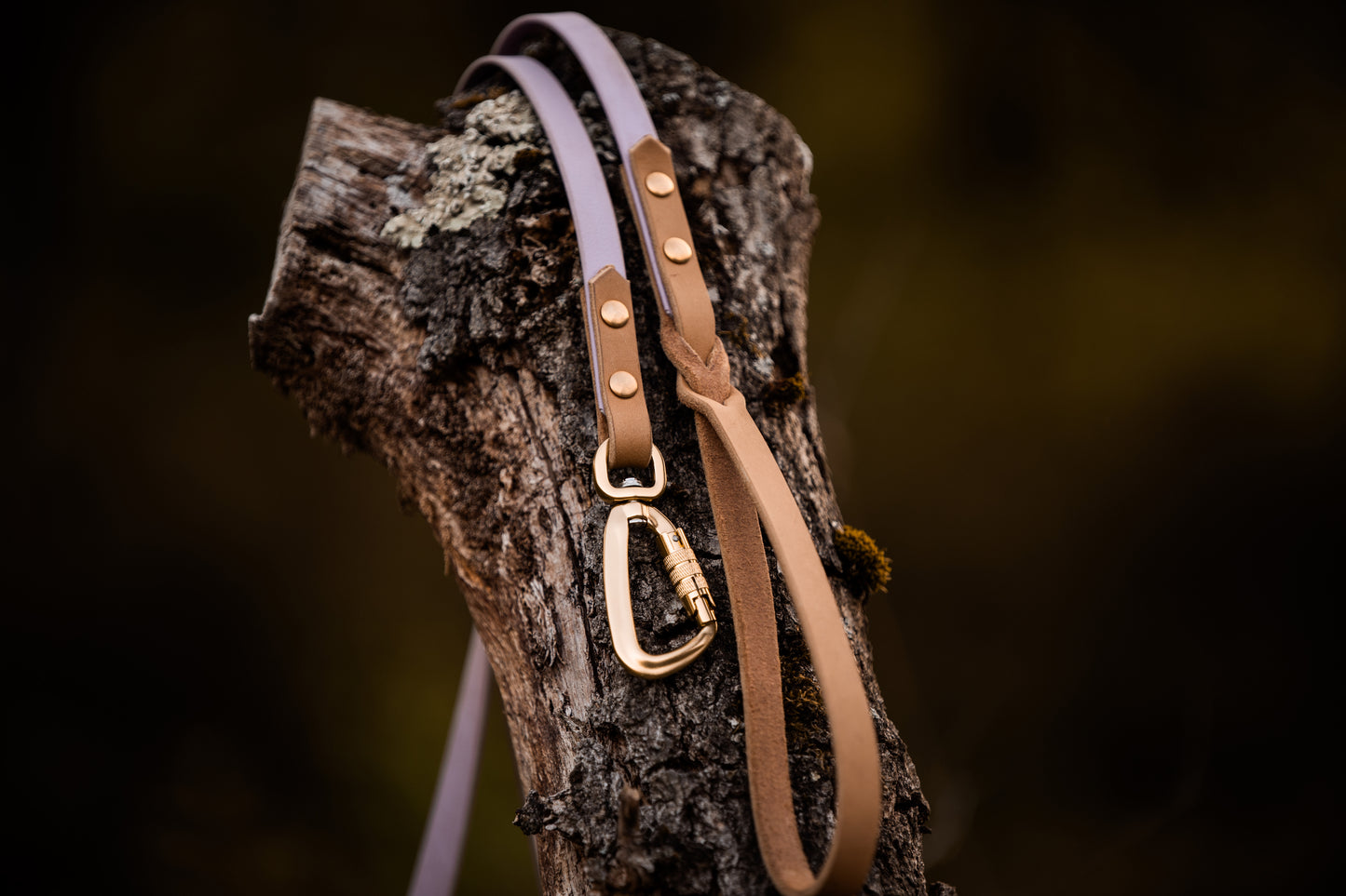 The Lizz Leash — Lilac Bloom