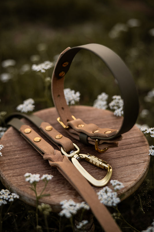 The Lizz Collar - Olive Moss