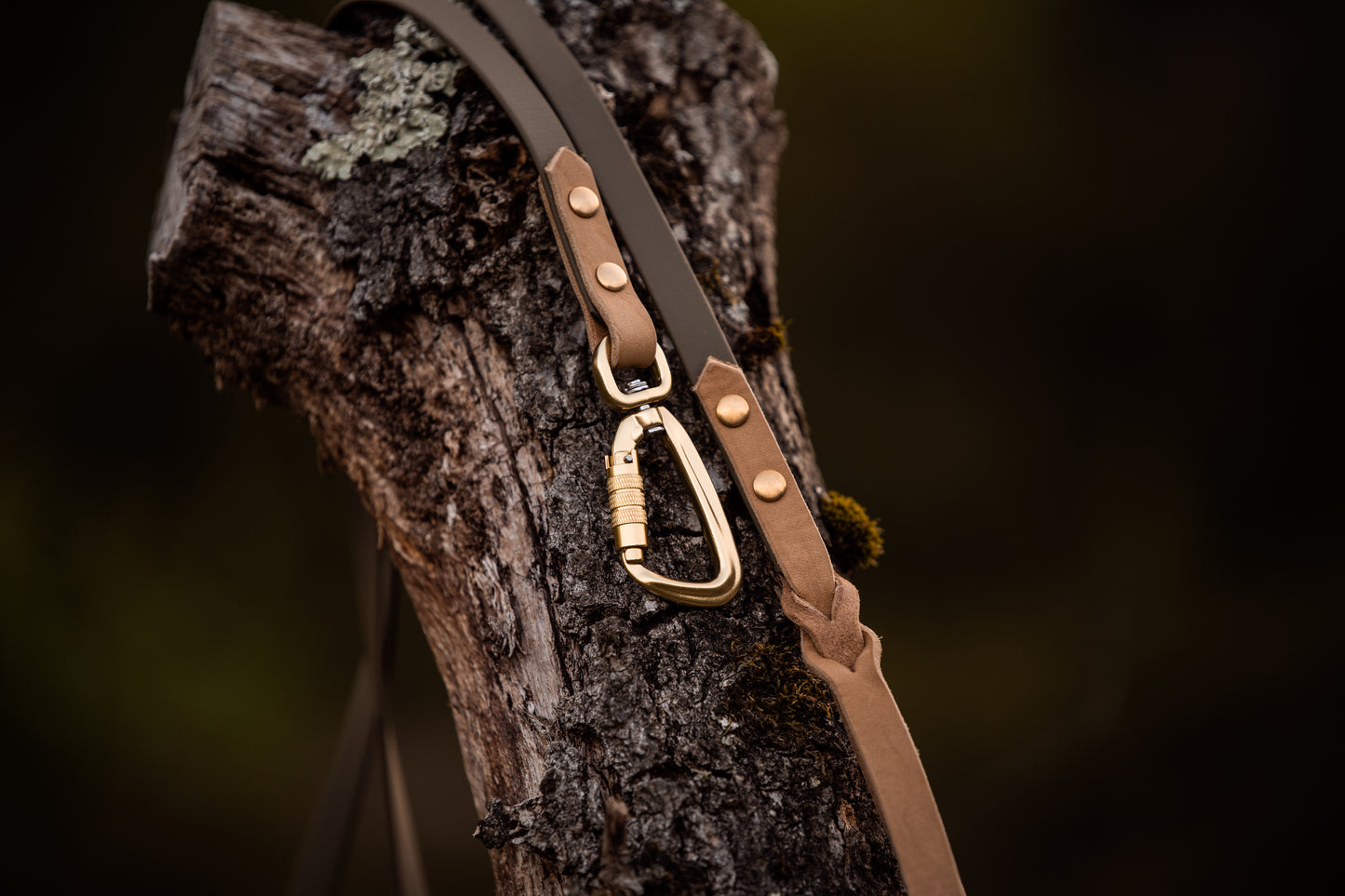 The Lizz Leash — Olive Moss