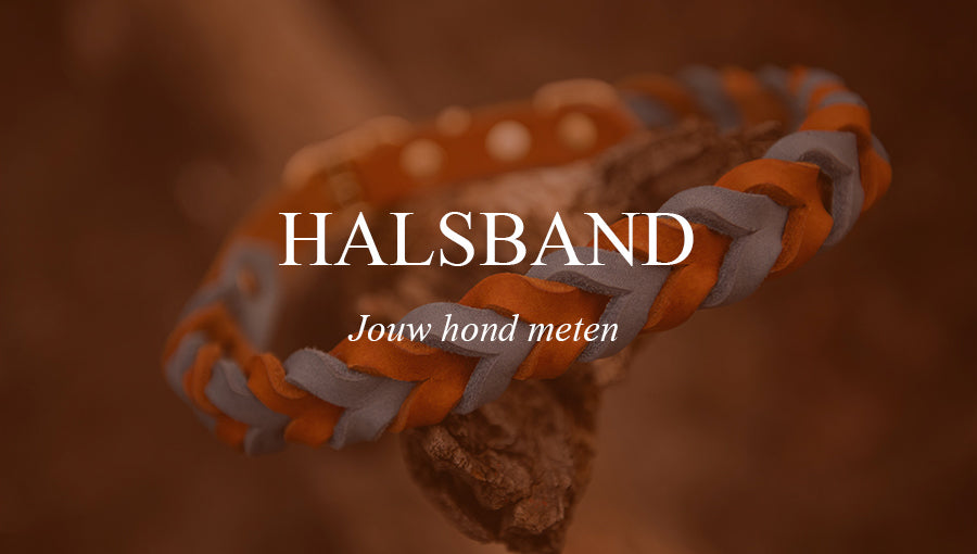 Video laden: De hals van je hond meten