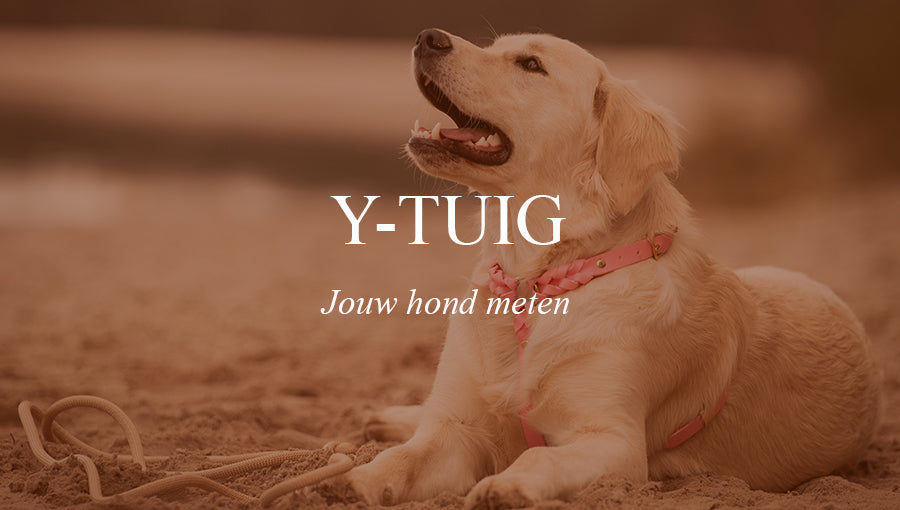Video laden: 